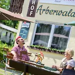 Arberwald * Bayerisch Eisenstein