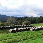 Arberwald Bayerisch Eisenstein