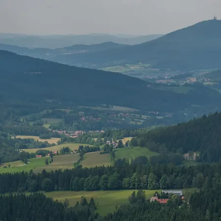 Arberwald