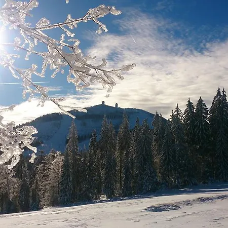 Arberwald Casa de hóspedes *