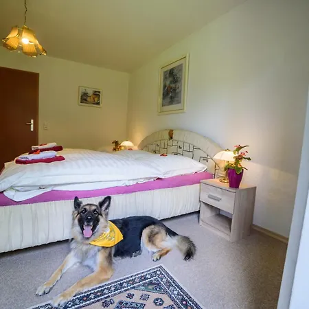 Guest house Arberwald