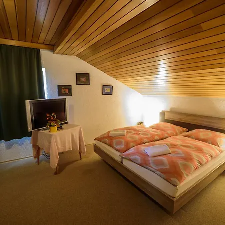 Arberwald Guest house *