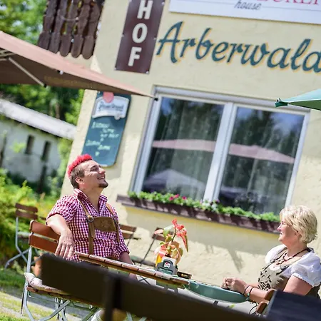 Arberwald * Bayerisch Eisenstein