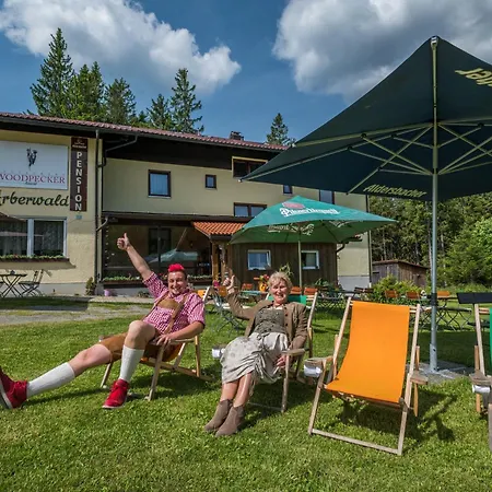 Arberwald Guest house
