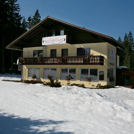 Arberwald Guest house