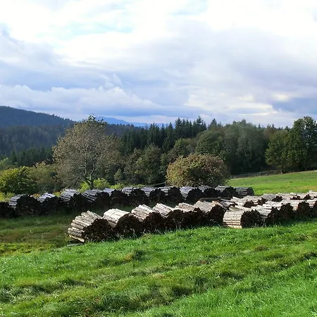 Arberwald Bayerisch Eisenstein