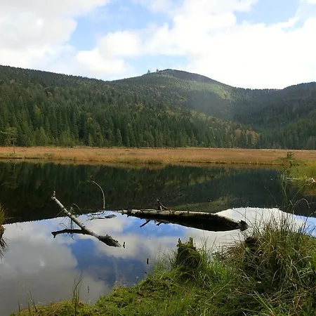 Arberwald Гостевой дом *