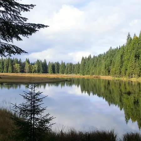 Arberwald * Bayerisch Eisenstein